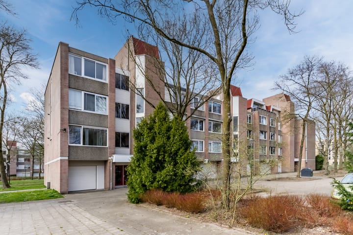 Foto 27 van Paladijnstraat 57