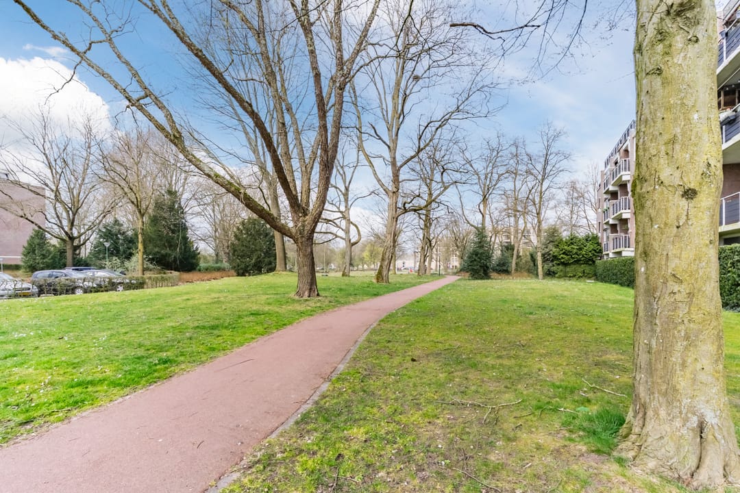 Foto 28 van Paladijnstraat 57