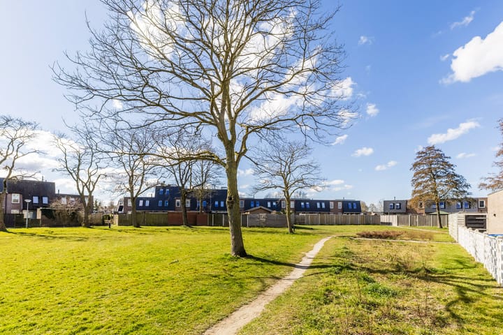 Foto 30 van Tjalk 35 36