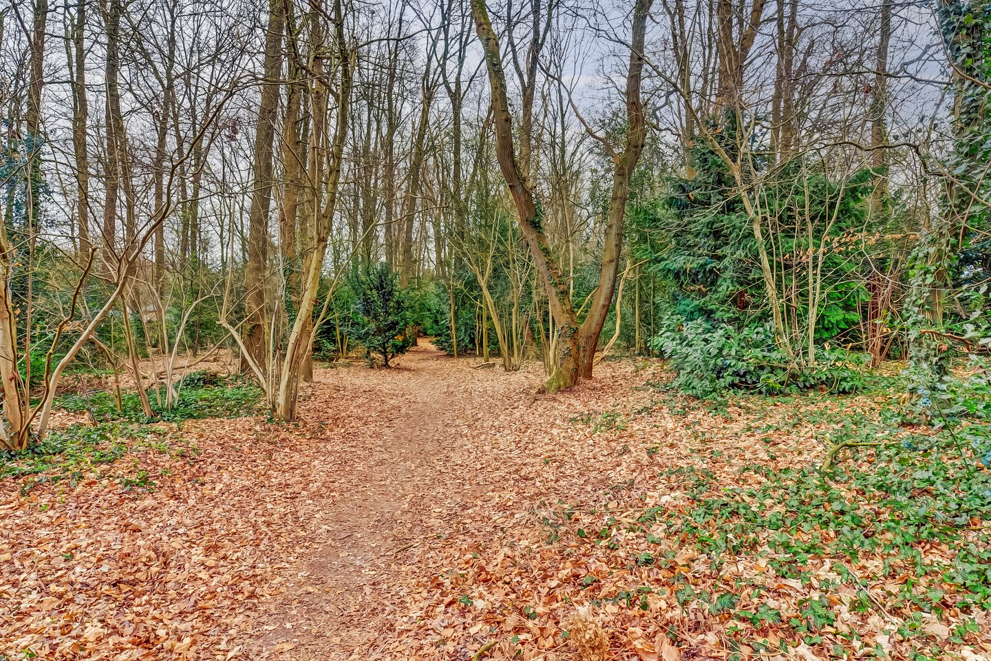 Foto 34 van Breukinklaan 67