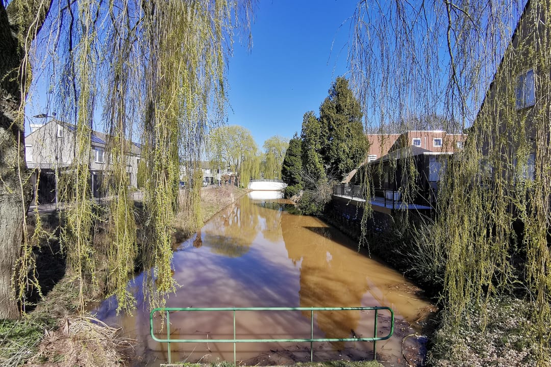 Foto 53 van Lombardijenlaan 139