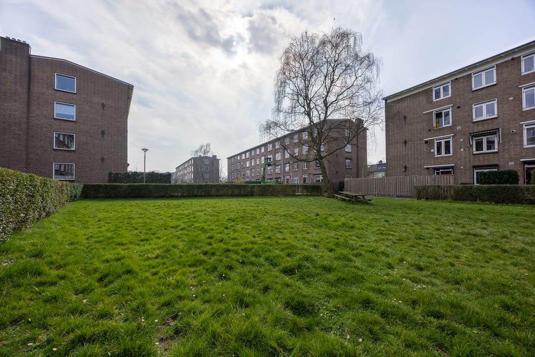 Foto 37 van Wolfstraat 34