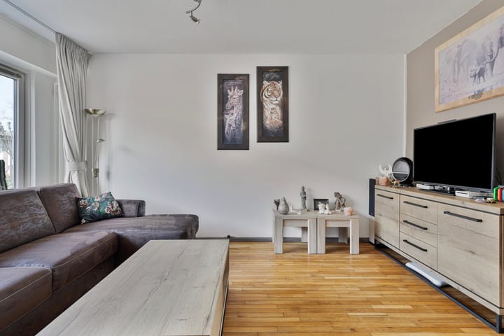 Foto 12 van Schapenmeent 62