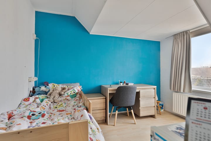 Foto 26 van Schapenmeent 62