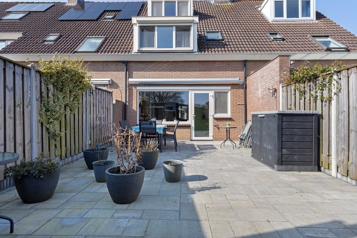 Foto 36 van Schapenmeent 62