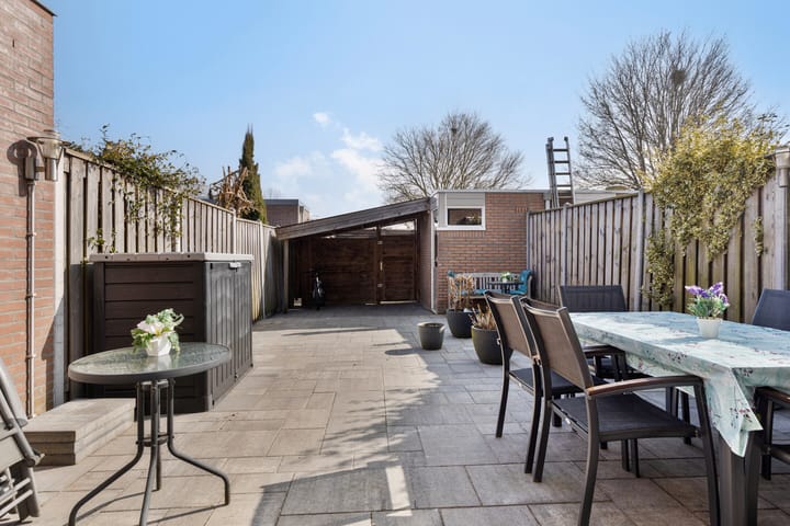 Foto 37 van Schapenmeent 62