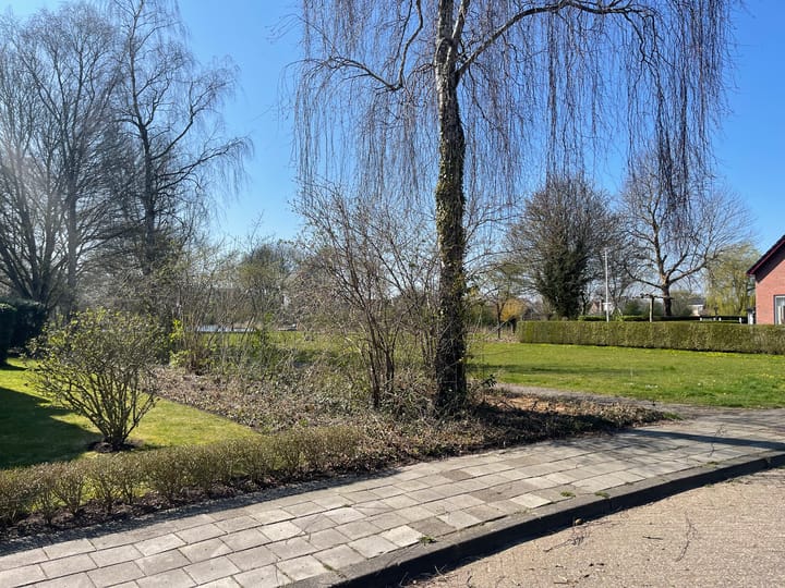 Foto 9 van Rietzoom 12