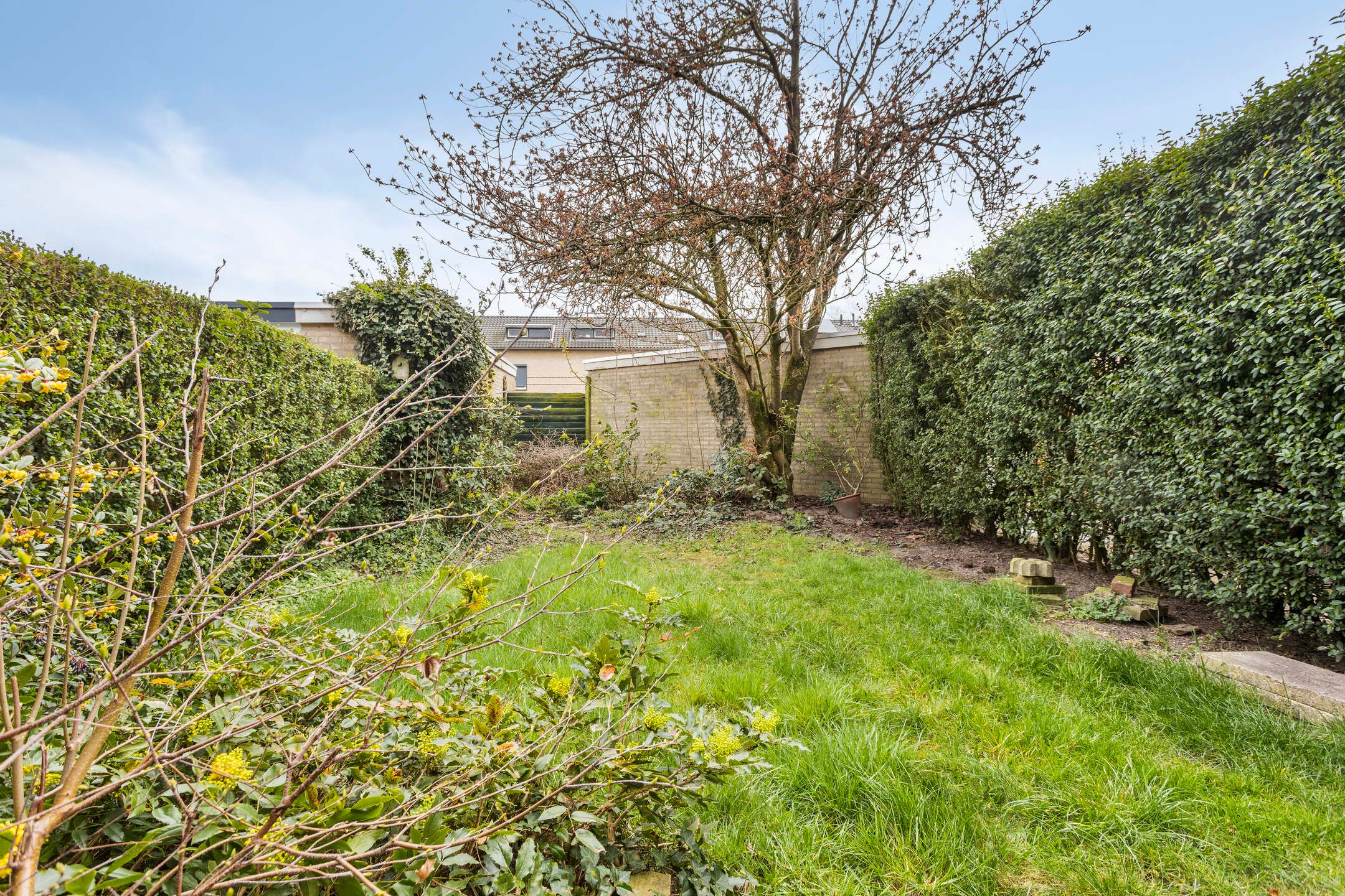 Foto 21 van van Kinsbergenstraat 9