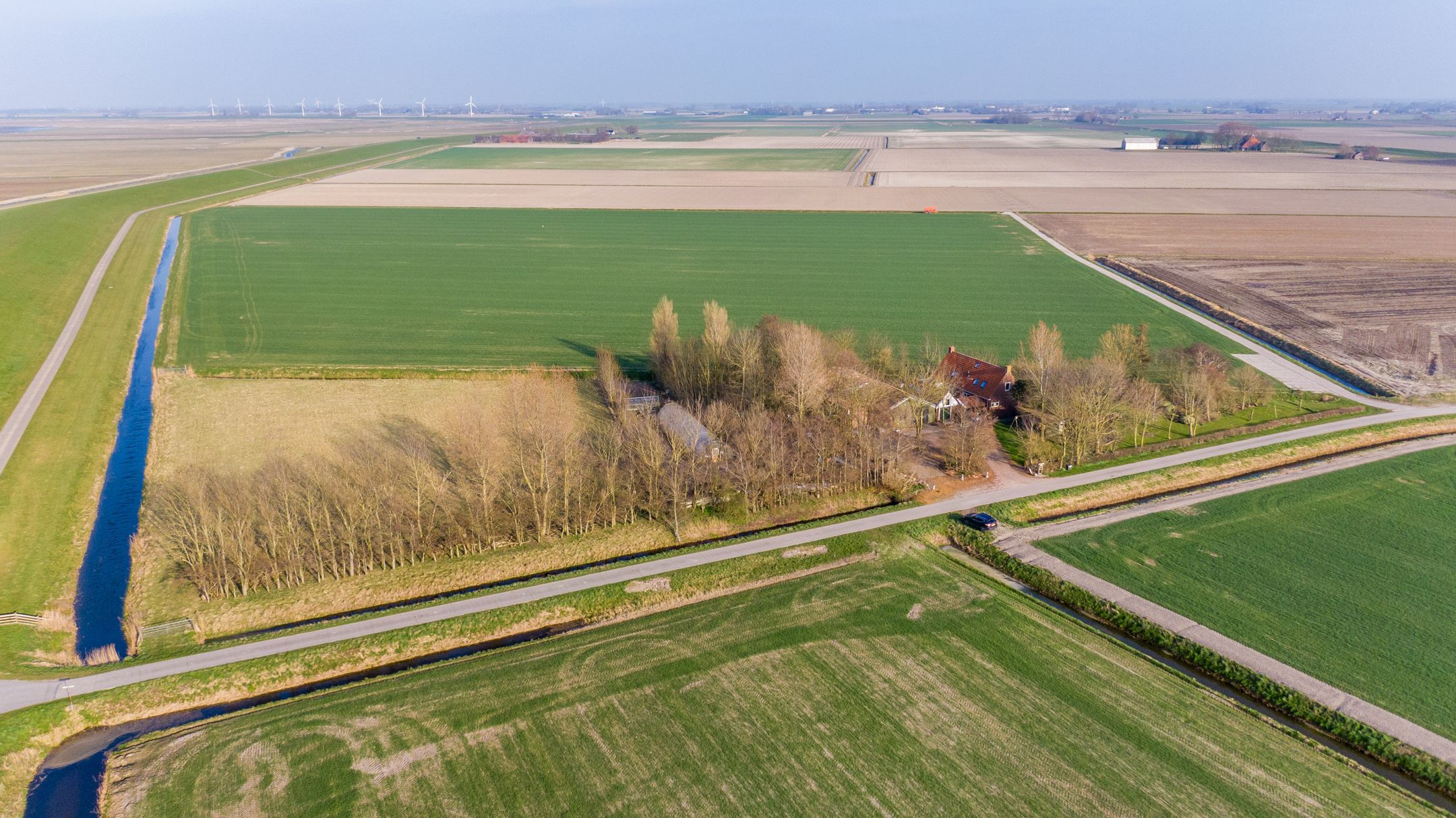 Foto 63 van Nieuwebildtzijl F 32