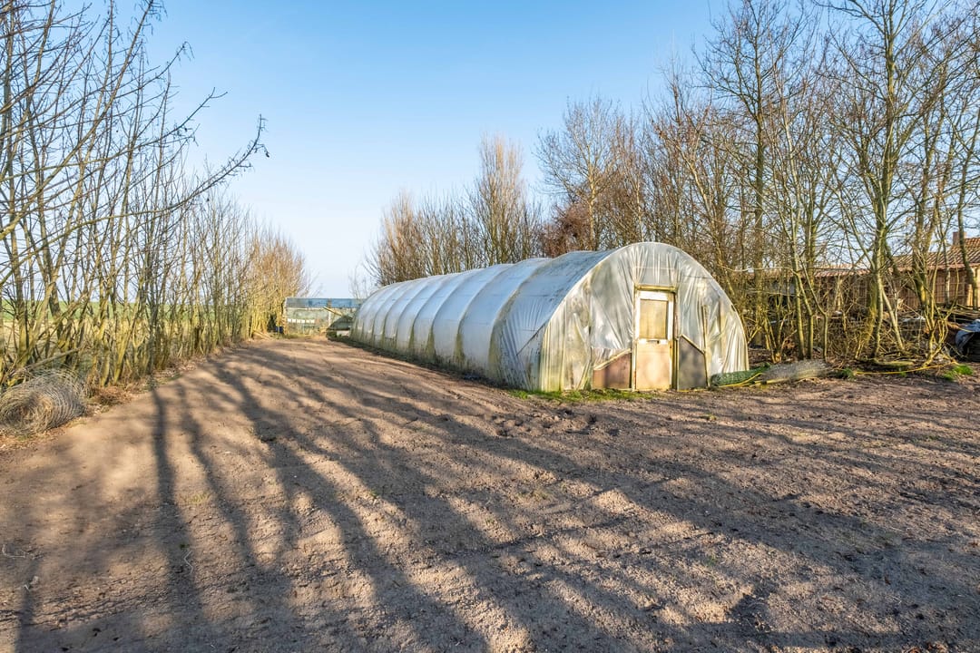 Foto 67 van Nieuwebildtzijl F 32