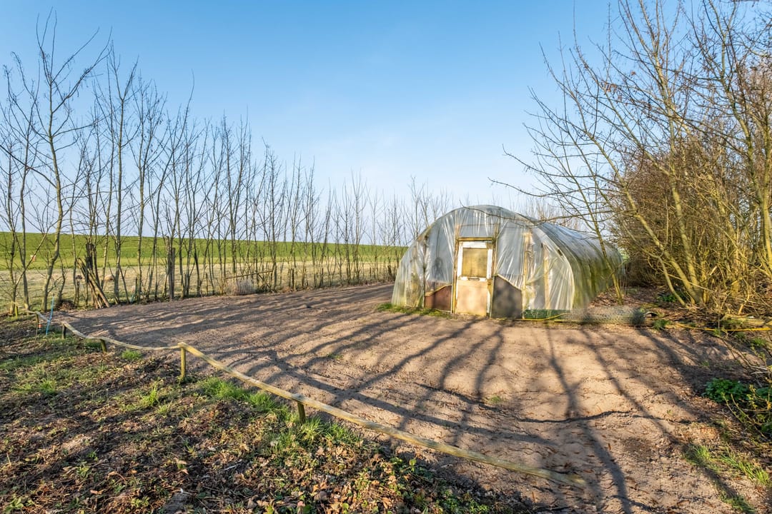 Foto 68 van Nieuwebildtzijl F 32