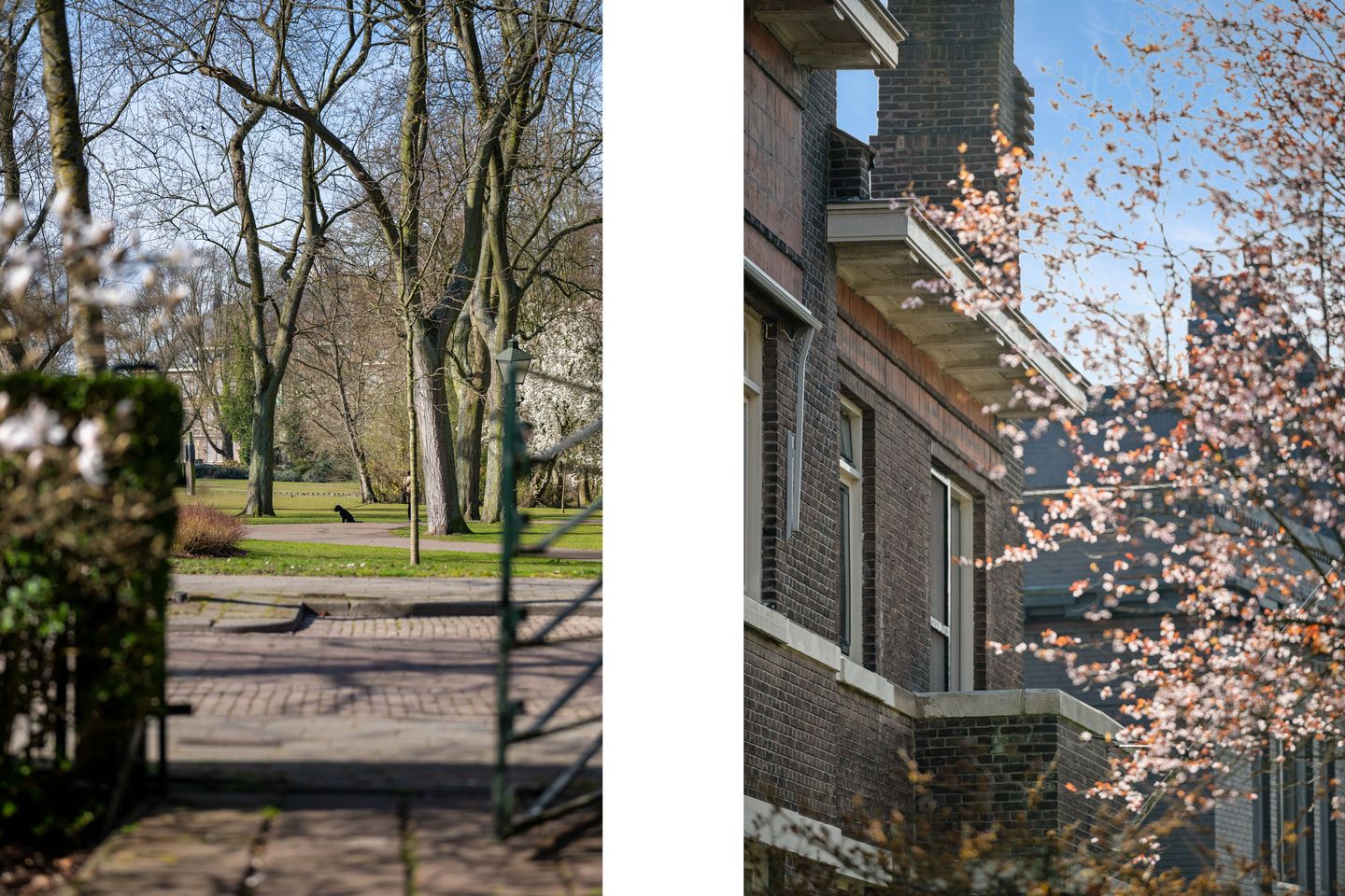 Foto 34 van Rozenburglaan 22