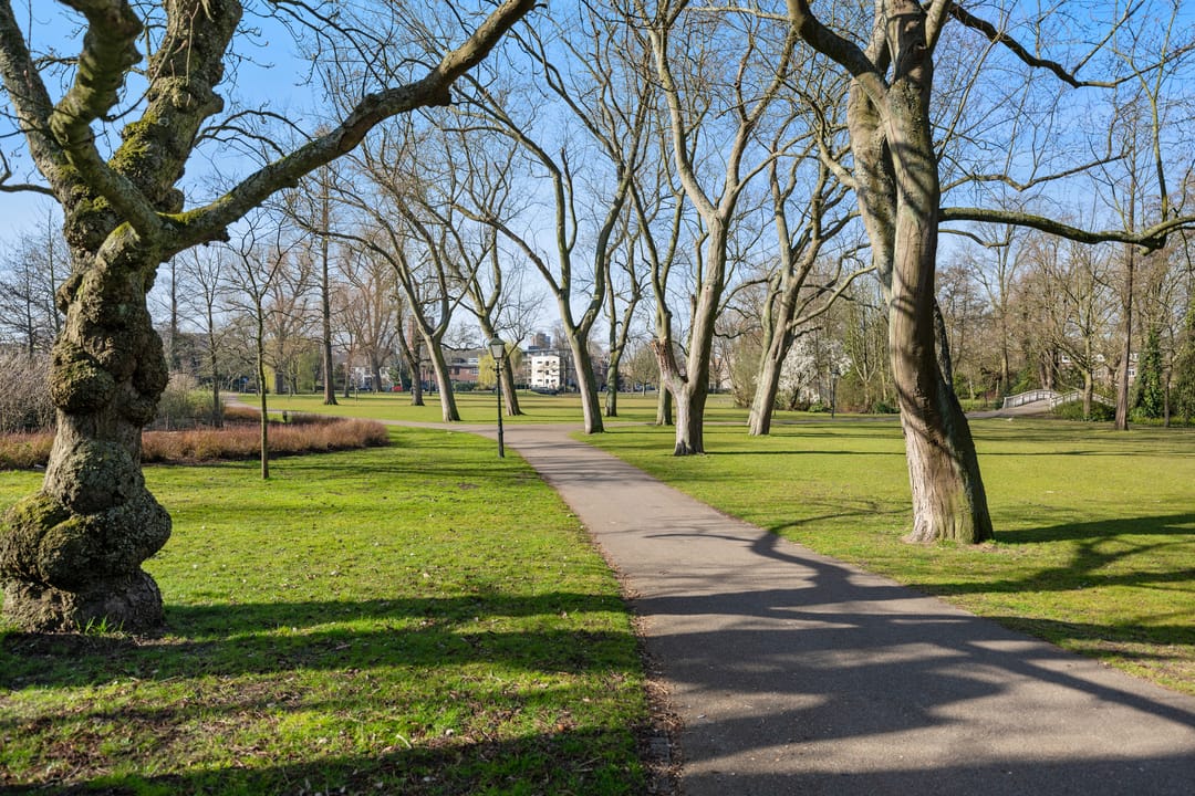 Foto 37 van Rozenburglaan 22