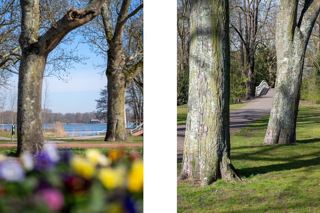 Foto 38 van Rozenburglaan 22