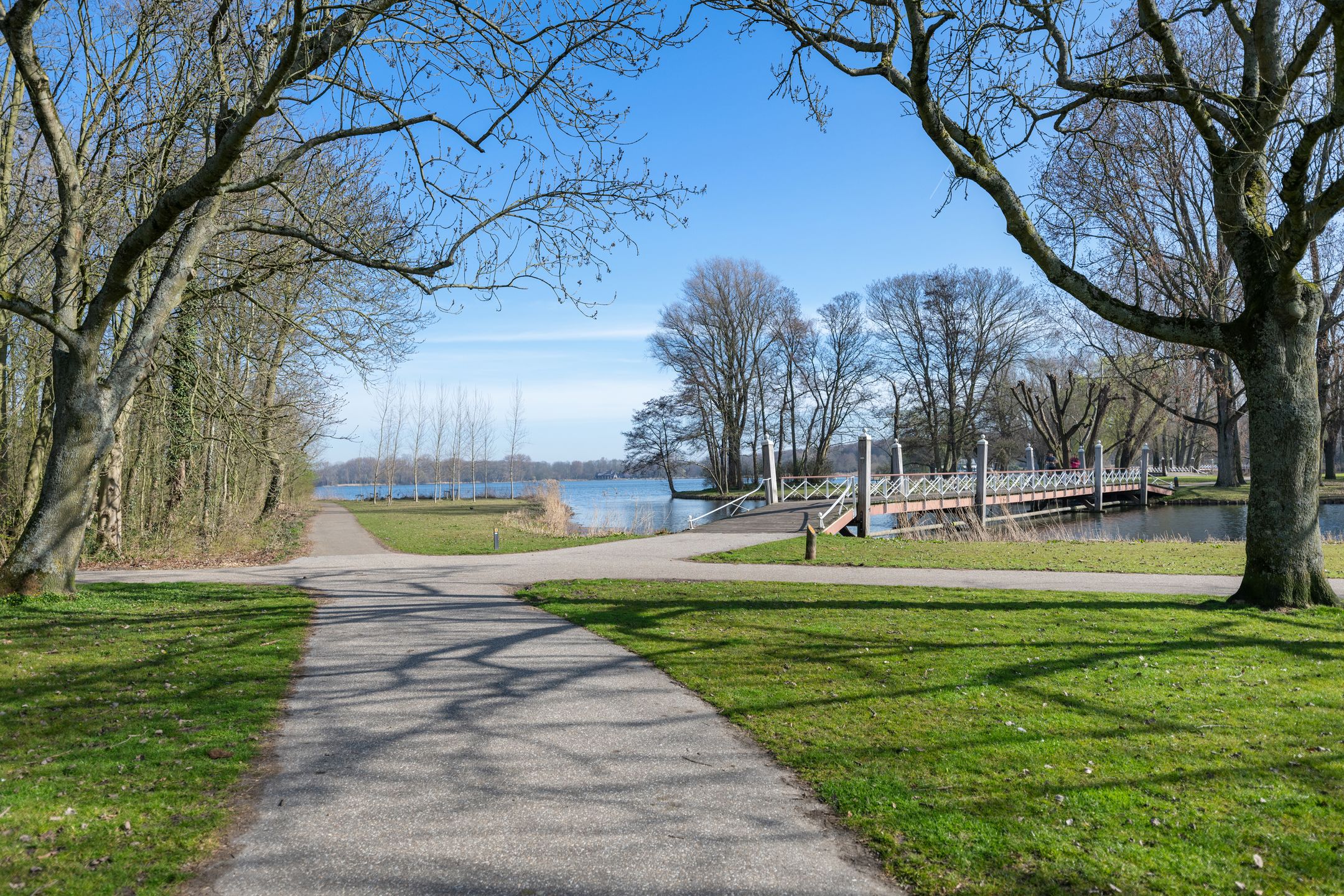 Foto 39 van Rozenburglaan 22