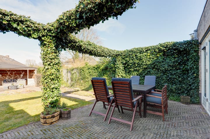 Foto 32 van Jadestoep 9