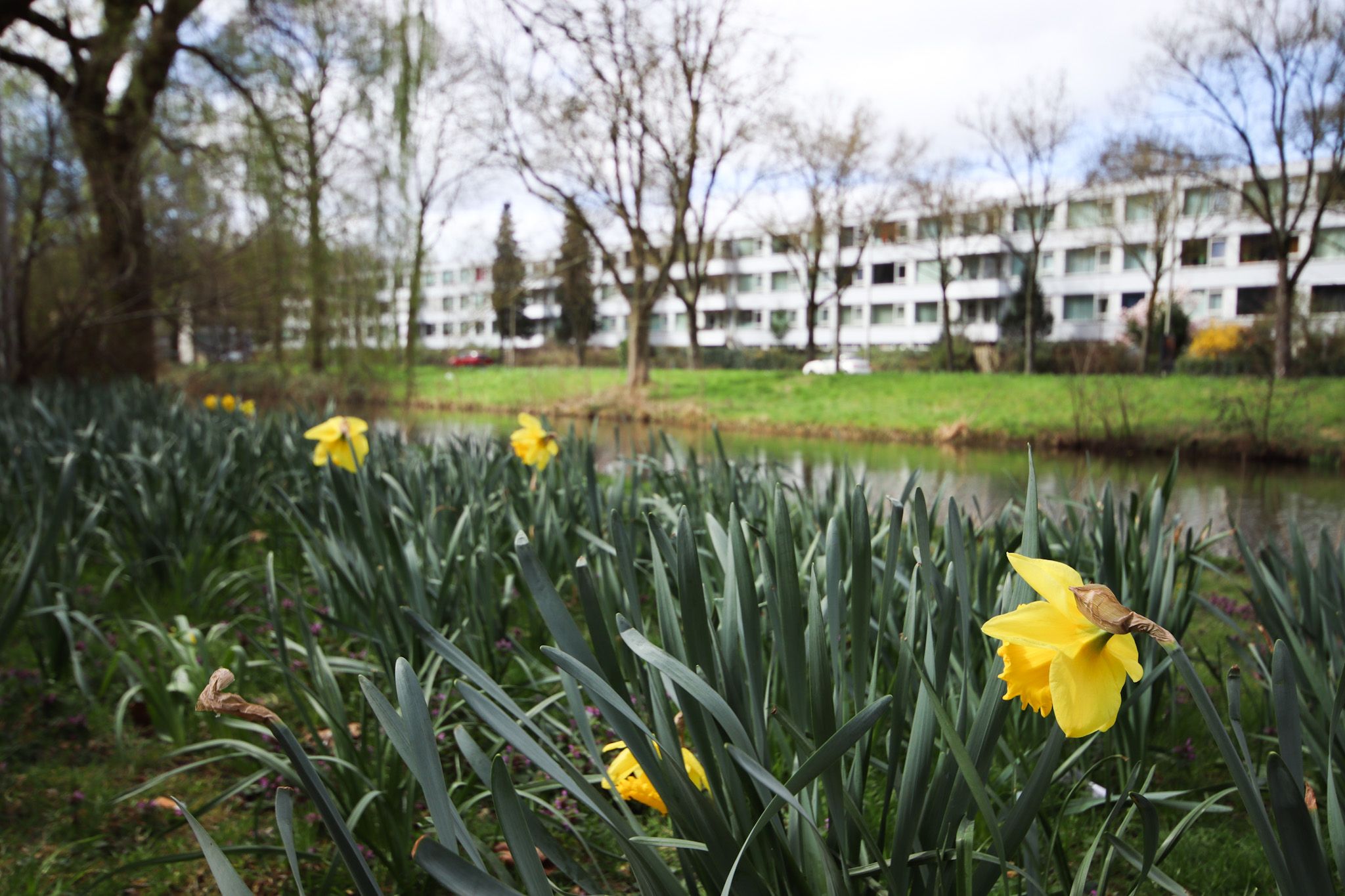 Foto 18 van Euterpedreef 45