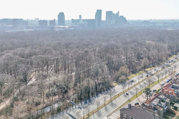 Foto 29 van Sadéestraat 19