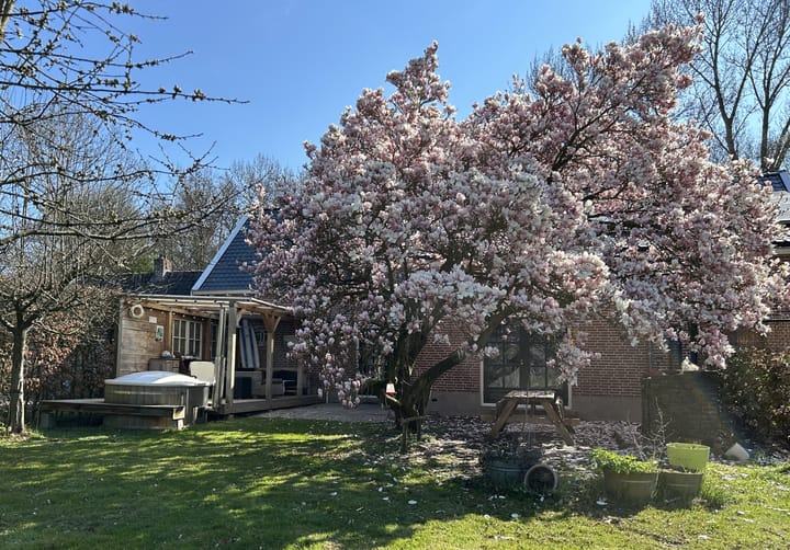 Photo 43 of Achterkade 15