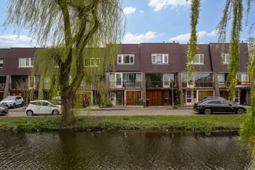 Surinamesingel thumbnail