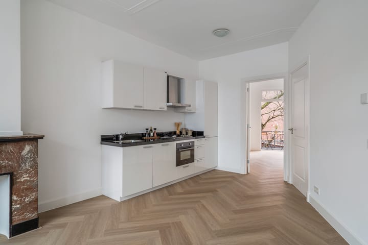 Foto 2 van Van Hoytemastraat 35