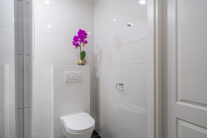 Foto 33 van Van Hoytemastraat 35