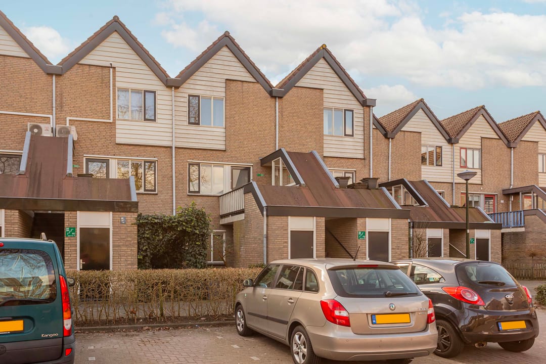 Foto 1 van Antilopespoor 381