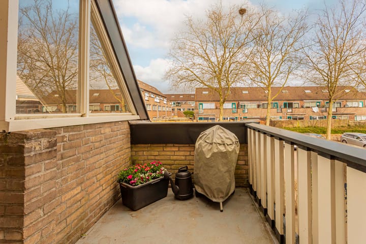 Foto 2 van Antilopespoor 381