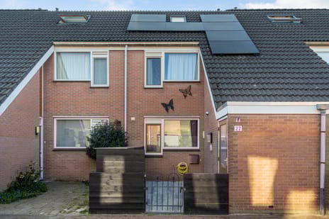 Champignon thumbnail