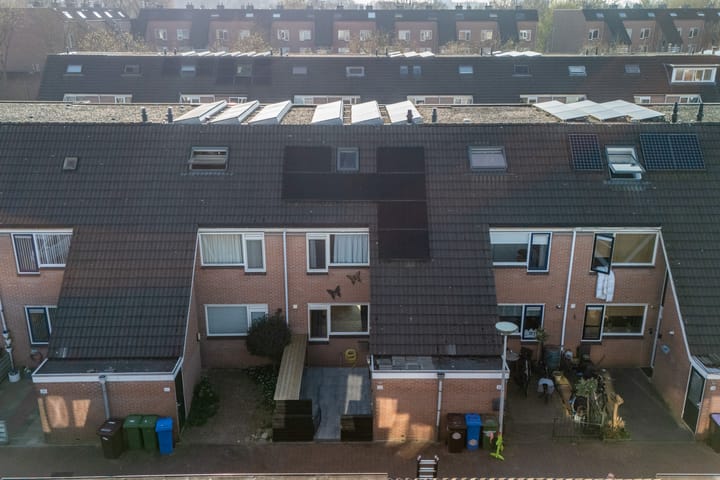 Photo 4 of Champignon 22