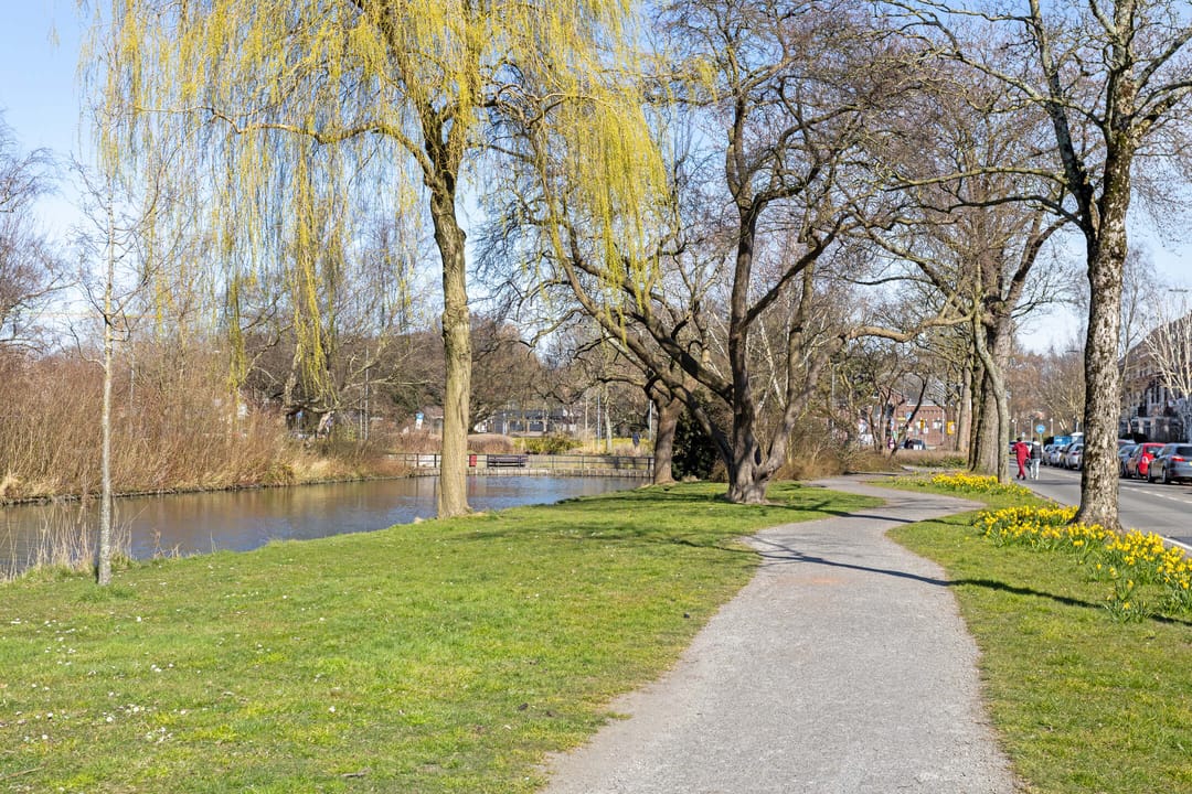 Foto 37 van Van Baerlestraat 64