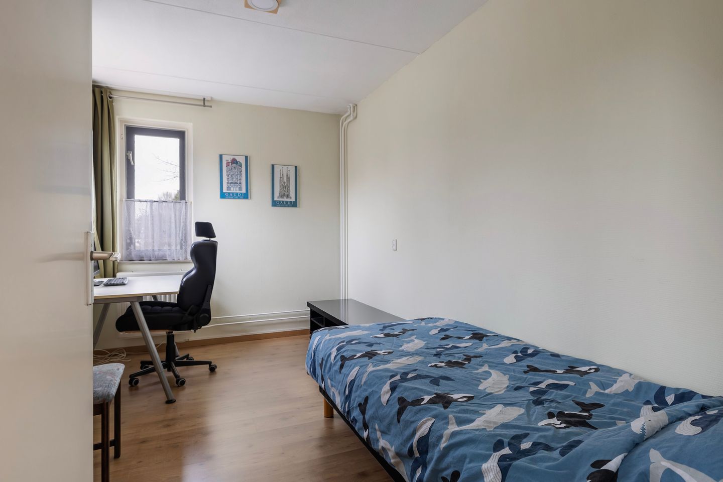 Foto 34 van Idzerdastins 133