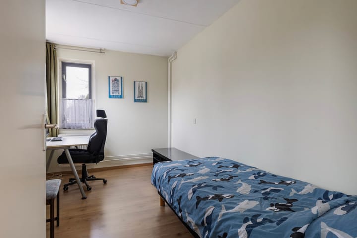 Foto 34 van Idzerdastins 133