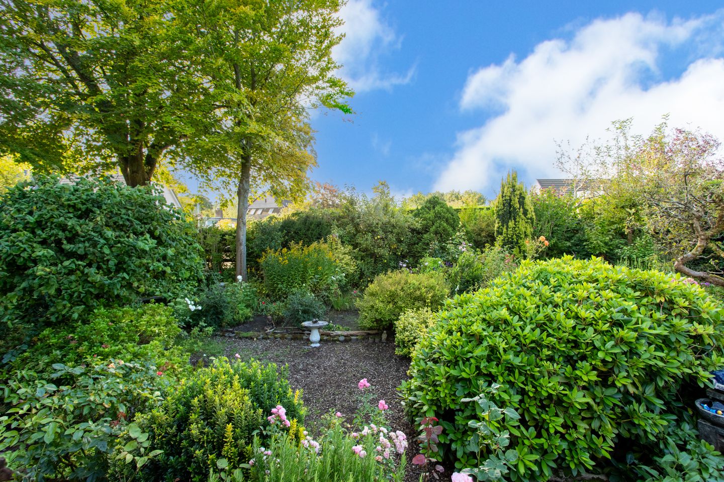 Foto 34 van Heereweg 72