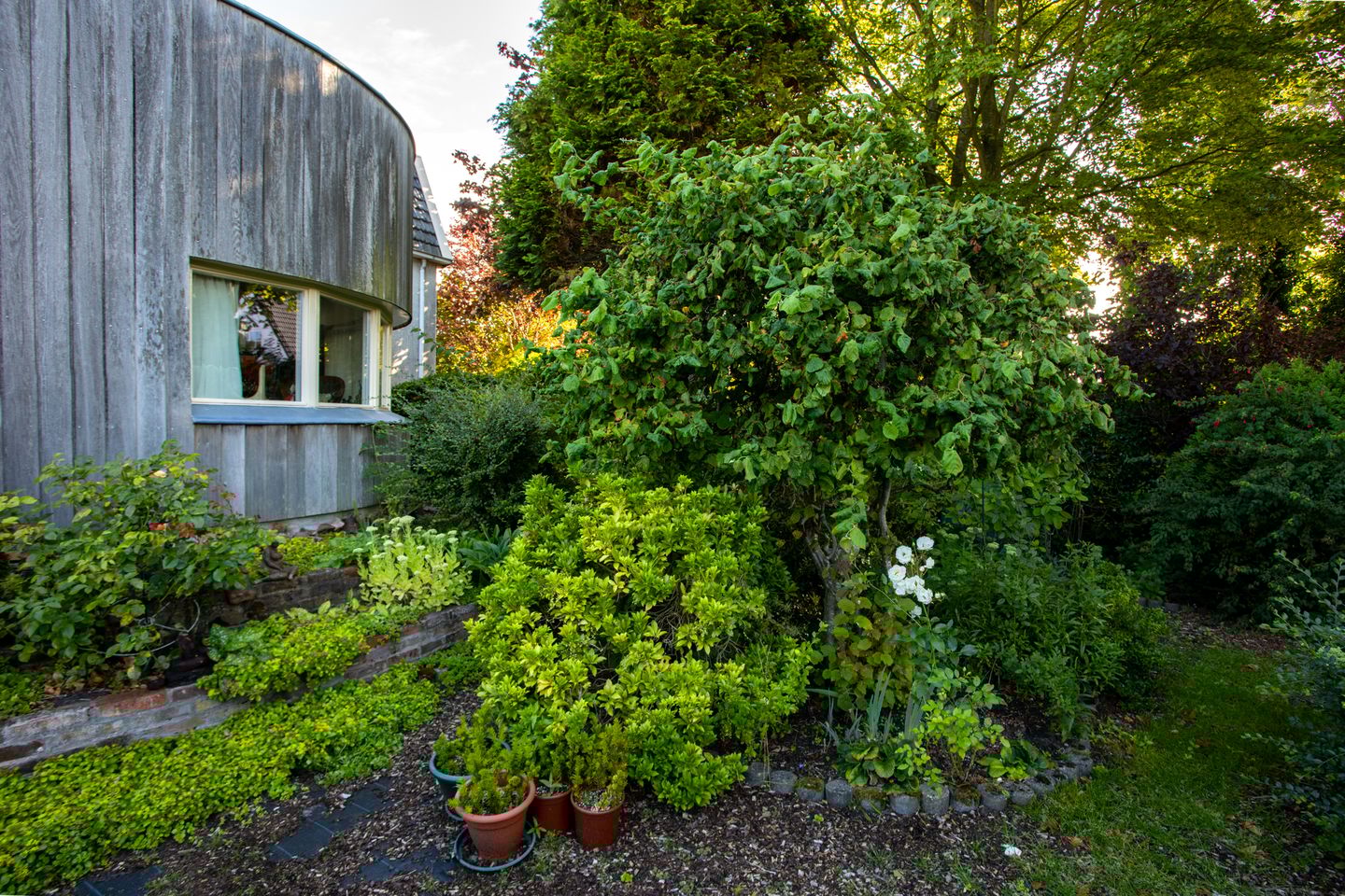 Foto 35 van Heereweg 72