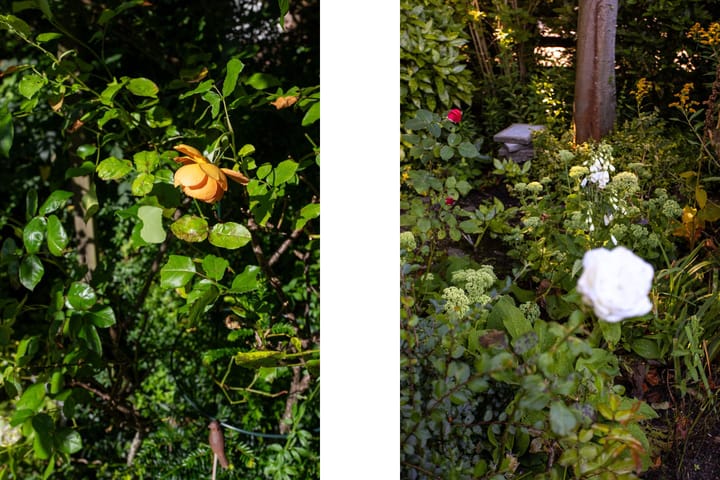 Foto 37 van Heereweg 72