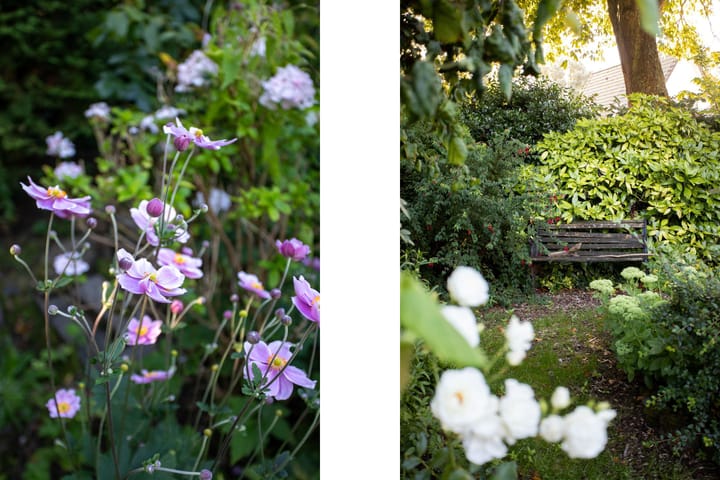 Foto 39 van Heereweg 72