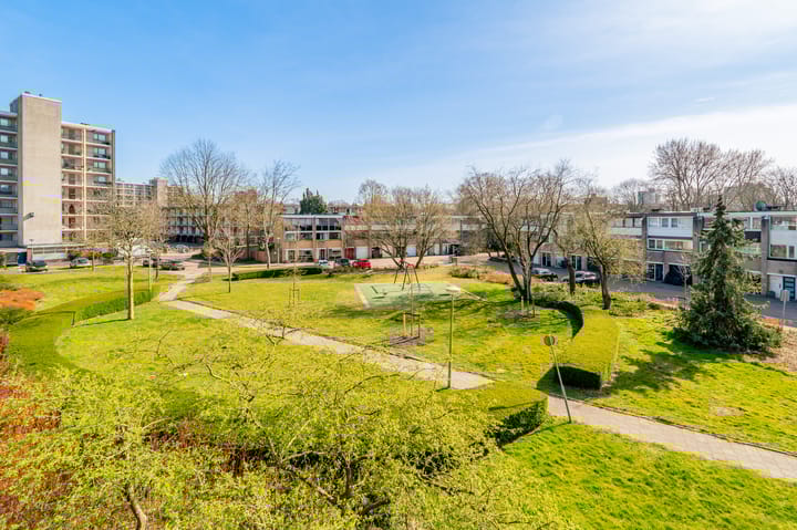 Foto 30 van Amerbos 265