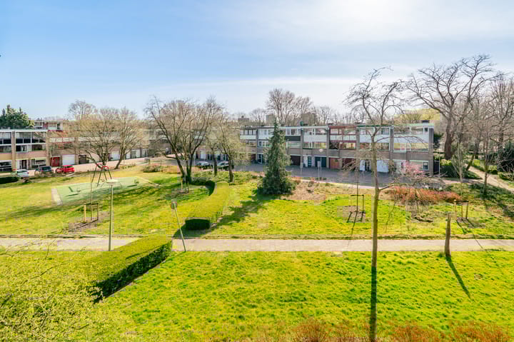 Foto 31 van Amerbos 265