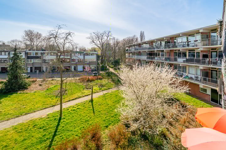 Foto 32 van Amerbos 265