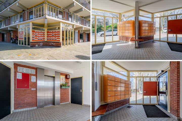 Foto 33 van Amerbos 265