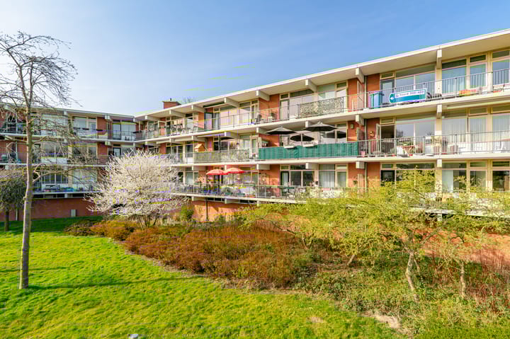 Foto 41 van Amerbos 265