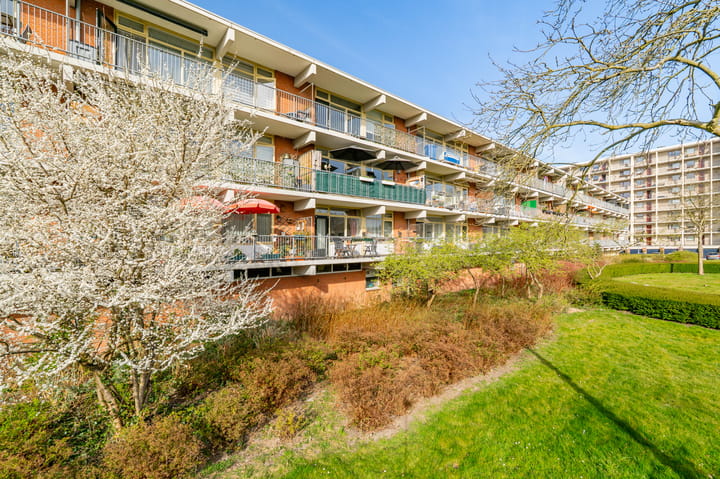 Foto 42 van Amerbos 265