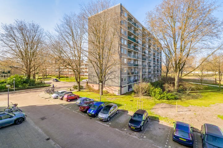 Foto 44 van Amerbos 265