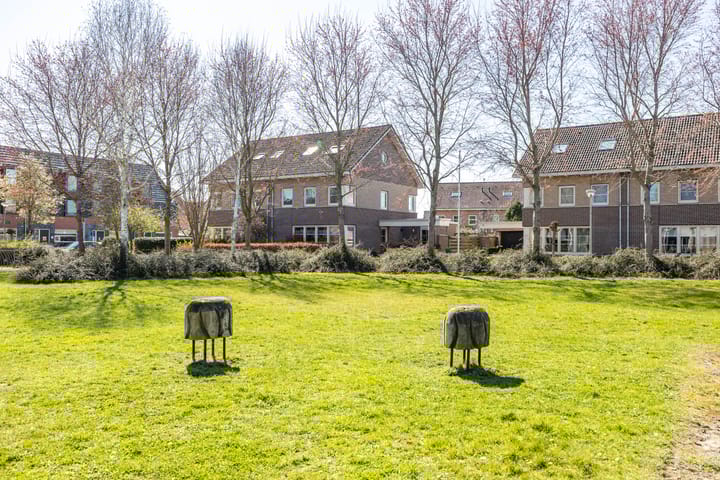 Foto 8 van Stedegroen 23