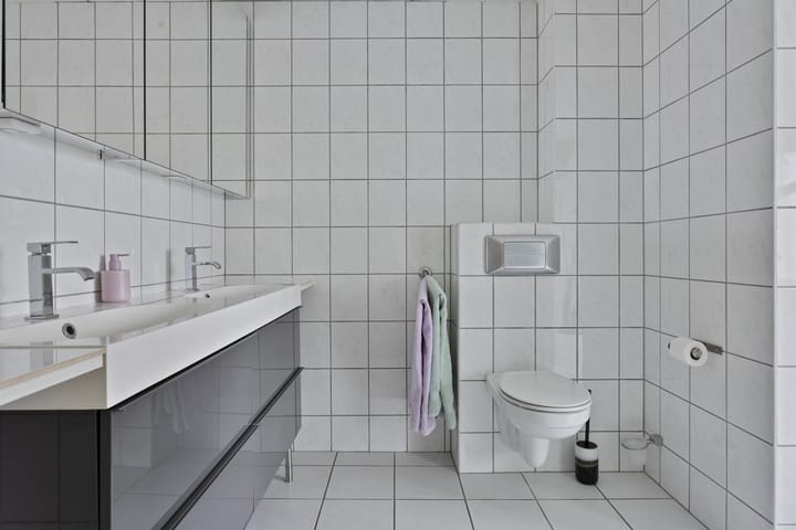 Foto 30 van De Ganskuijl 5