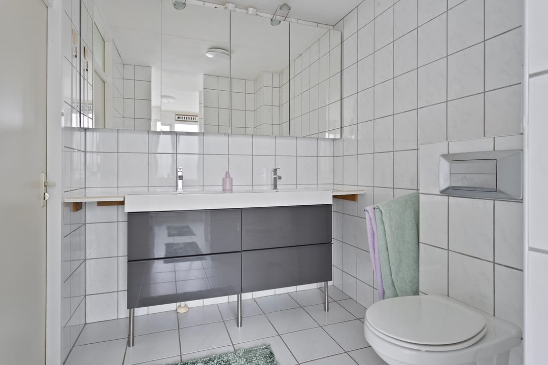 Foto 31 van De Ganskuijl 5