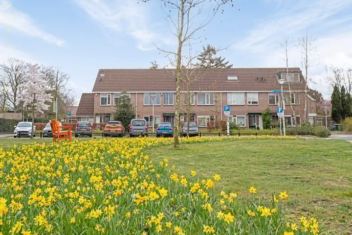 Foto 39 van De Ganskuijl 5