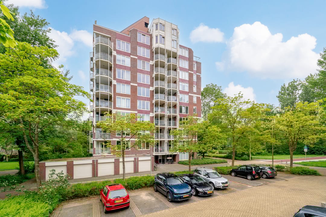 Photo 31 of Logger 85