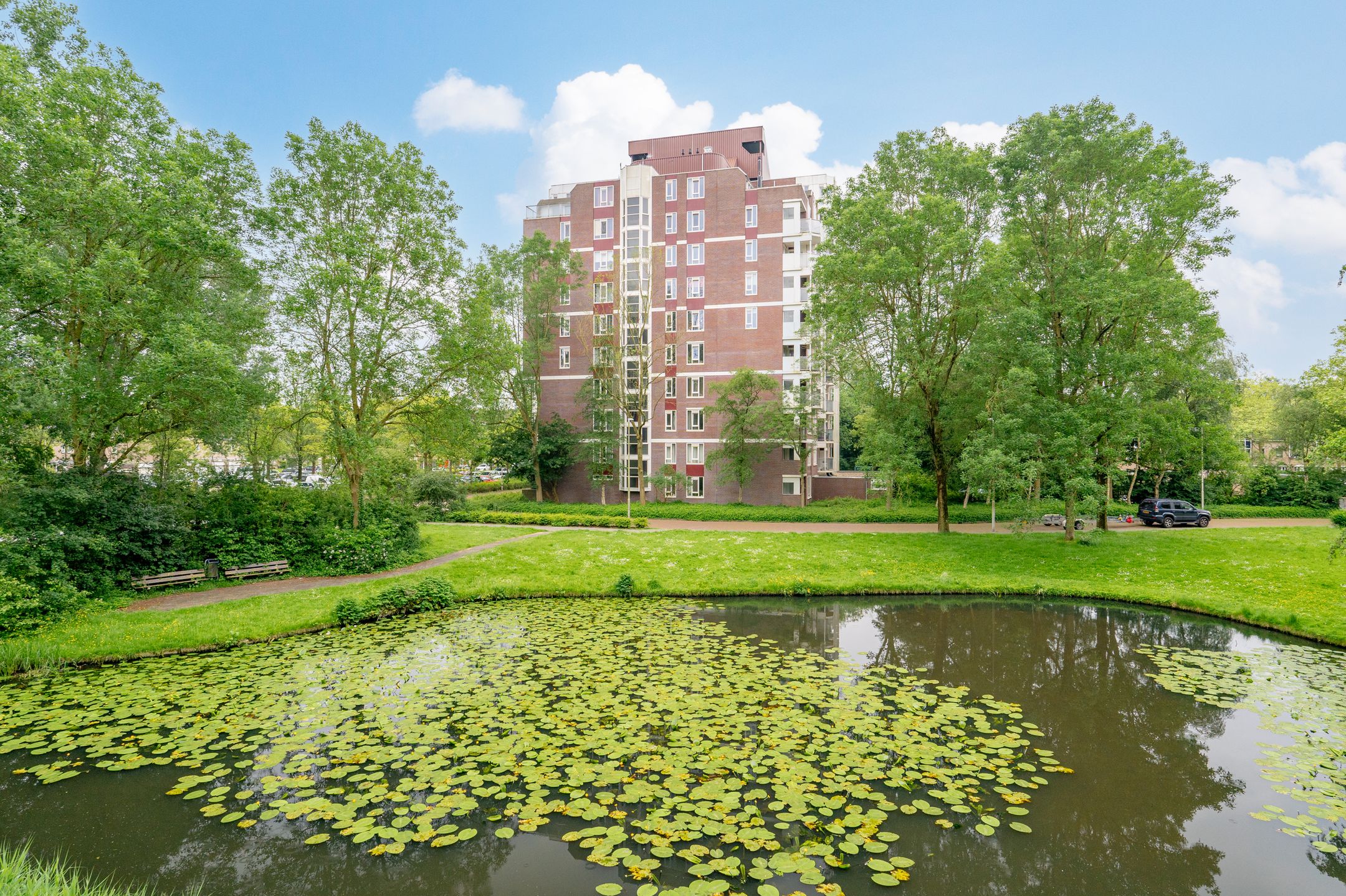 Photo 36 of Logger 85